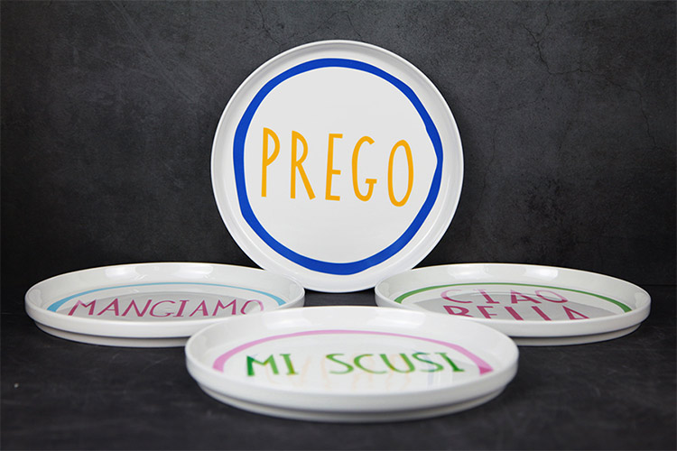 10 inch porcelain dinner plates with decal