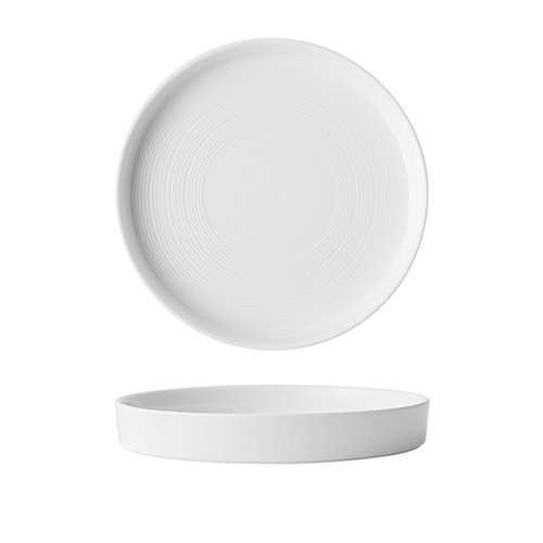 ceramic dinner plate porcelain